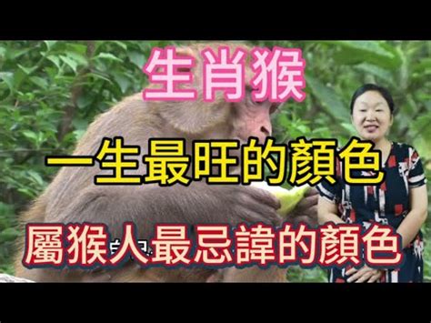 麻豆 換妻 屬猴幸運色